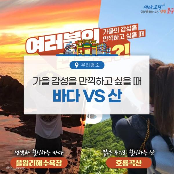 가을 감성을 만끽하고 싶을 때 바다VS산